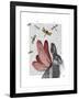 Dragonfly Hare-Fab Funky-Framed Art Print