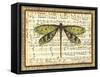 Dragonfly Harmony II-Vision Studio-Framed Stretched Canvas