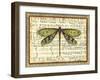 Dragonfly Harmony II-Vision Studio-Framed Art Print