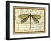 Dragonfly Harmony II-Vision Studio-Framed Art Print