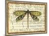 Dragonfly Harmony II-Vision Studio-Mounted Art Print