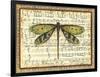 Dragonfly Harmony II-Vision Studio-Framed Art Print