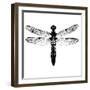 Dragonfly I-Clara Wells-Framed Giclee Print