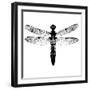 Dragonfly I-Clara Wells-Framed Giclee Print