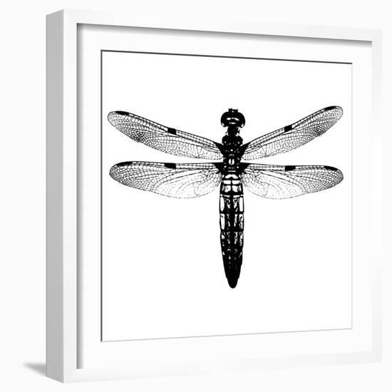 Dragonfly I-Clara Wells-Framed Giclee Print