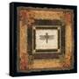 Dragonfly I-Pamela Gladding-Framed Stretched Canvas