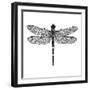 Dragonfly II-Clara Wells-Framed Giclee Print