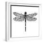 Dragonfly II-Clara Wells-Framed Giclee Print