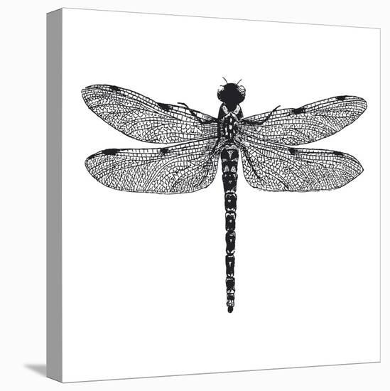 Dragonfly II-Clara Wells-Stretched Canvas