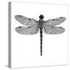 Dragonfly II-Clara Wells-Stretched Canvas