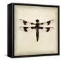 Dragonfly II-Amy Melious-Framed Stretched Canvas