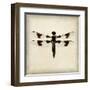 Dragonfly II-Amy Melious-Framed Art Print