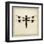 Dragonfly II-Amy Melious-Framed Art Print