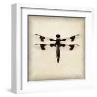 Dragonfly II-Amy Melious-Framed Art Print