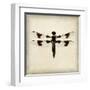 Dragonfly II-Amy Melious-Framed Art Print