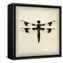 Dragonfly II-Amy Melious-Framed Stretched Canvas