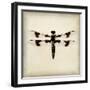 Dragonfly II-Amy Melious-Framed Art Print