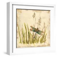 Dragonfly Meadow-Bella Dos Santos-Framed Art Print