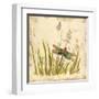 Dragonfly Meadow-Bella Dos Santos-Framed Art Print