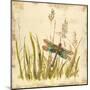 Dragonfly Meadow-Bella Dos Santos-Mounted Art Print