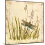 Dragonfly Meadow-Bella Dos Santos-Mounted Art Print