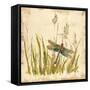 Dragonfly Meadow-Bella Dos Santos-Framed Stretched Canvas