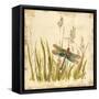 Dragonfly Meadow-Bella Dos Santos-Framed Stretched Canvas