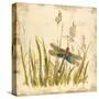 Dragonfly Meadow-Bella Dos Santos-Stretched Canvas