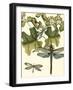 Dragonfly Medley II-null-Framed Art Print