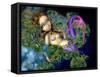 Dragonfly Mermaid-Jasmine Becket-Griffith-Framed Stretched Canvas