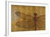 Dragonfly on Gold-Patricia Pinto-Framed Art Print