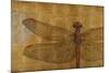 Dragonfly on Gold-Patricia Pinto-Mounted Art Print