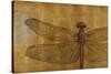 Dragonfly on Gold-Patricia Pinto-Stretched Canvas