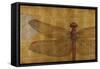 Dragonfly on Gold-Patricia Pinto-Framed Stretched Canvas