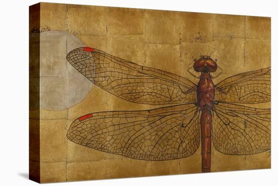 Dragonfly on Gold-Patricia Pinto-Stretched Canvas