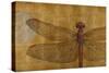 Dragonfly on Gold-Patricia Pinto-Stretched Canvas