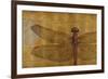Dragonfly on Gold-Patricia Pinto-Framed Art Print