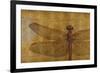 Dragonfly on Gold-Patricia Pinto-Framed Art Print