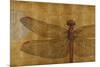 Dragonfly on Gold-Patricia Pinto-Mounted Art Print