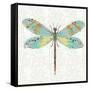 Dragonfly- On Gray Floral-A-Jean Plout-Framed Stretched Canvas