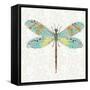 Dragonfly- On Gray Floral-A-Jean Plout-Framed Stretched Canvas