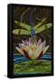 Dragonfly - Paper Mosaic-Lantern Press-Framed Stretched Canvas