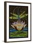 Dragonfly - Paper Mosaic-Lantern Press-Framed Art Print