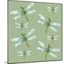 Dragonfly Pattern-Cherie Roe Dirksen-Mounted Giclee Print