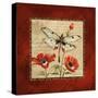 Dragonfly & Poppies-Gregory Gorham-Stretched Canvas