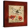 Dragonfly & Poppies-Gregory Gorham-Stretched Canvas