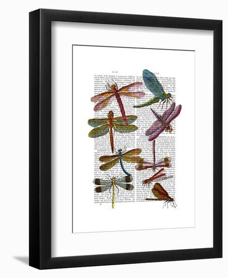 Dragonfly Print 3-Fab Funky-Framed Art Print