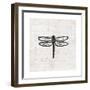 Dragonfly Stamp BW-Courtney Prahl-Framed Art Print