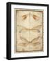 Dragonfly Whisper-A-Jean Plout-Framed Giclee Print