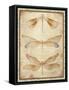 Dragonfly Whisper-A-Jean Plout-Framed Stretched Canvas